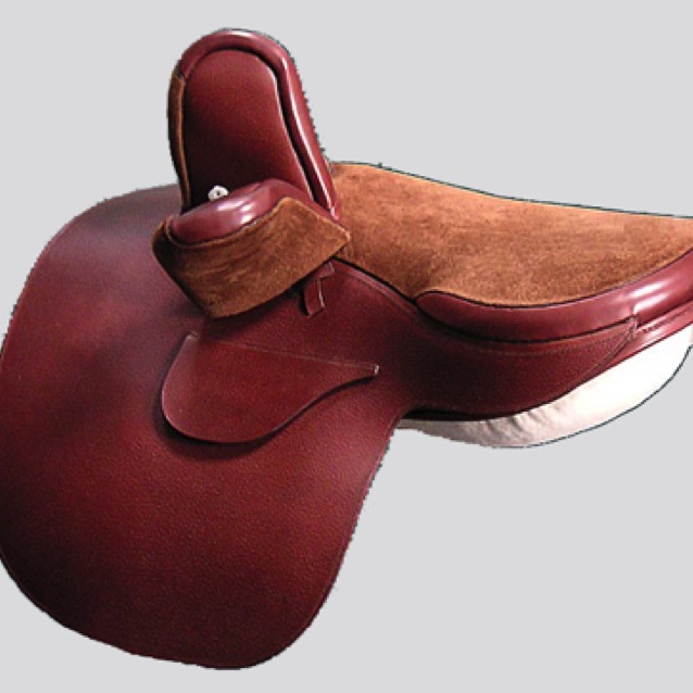 AWARD WINNING: Owen Side Saddle