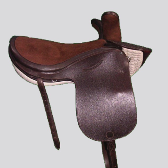 AWARD WINNING: Victorian Side Saddle