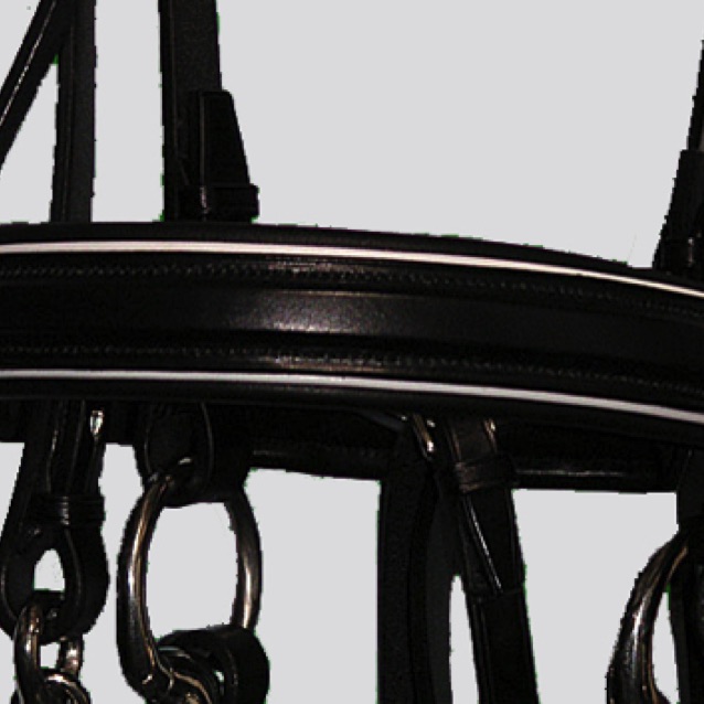 Bridle Browband detail