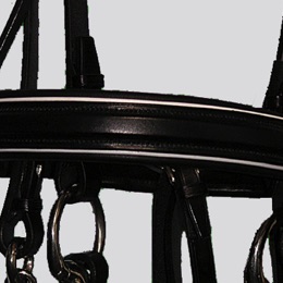 Bespoke Bridle browband detail