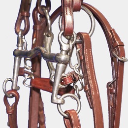 Bridle work